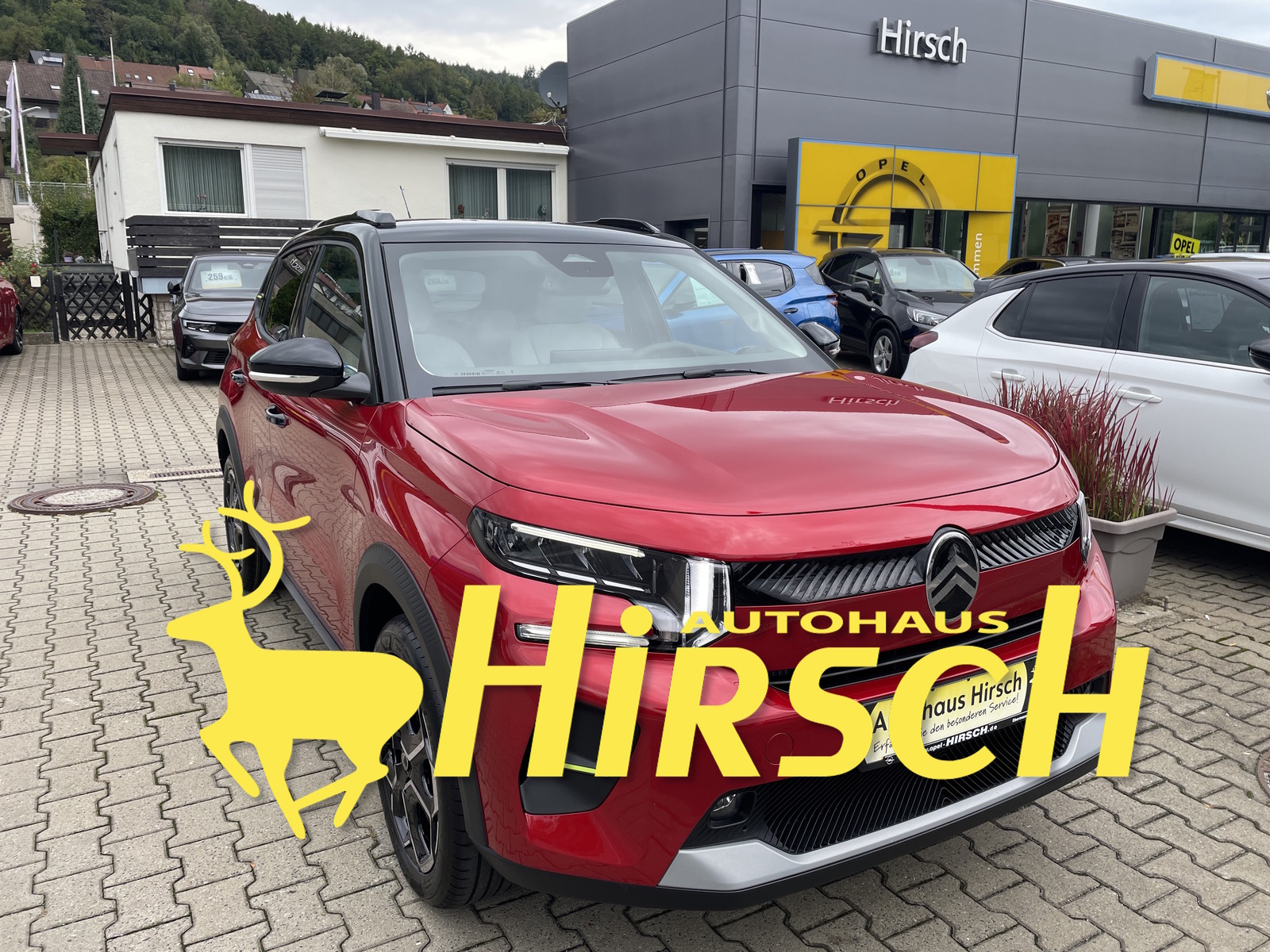 Bild des Fahrzeugs