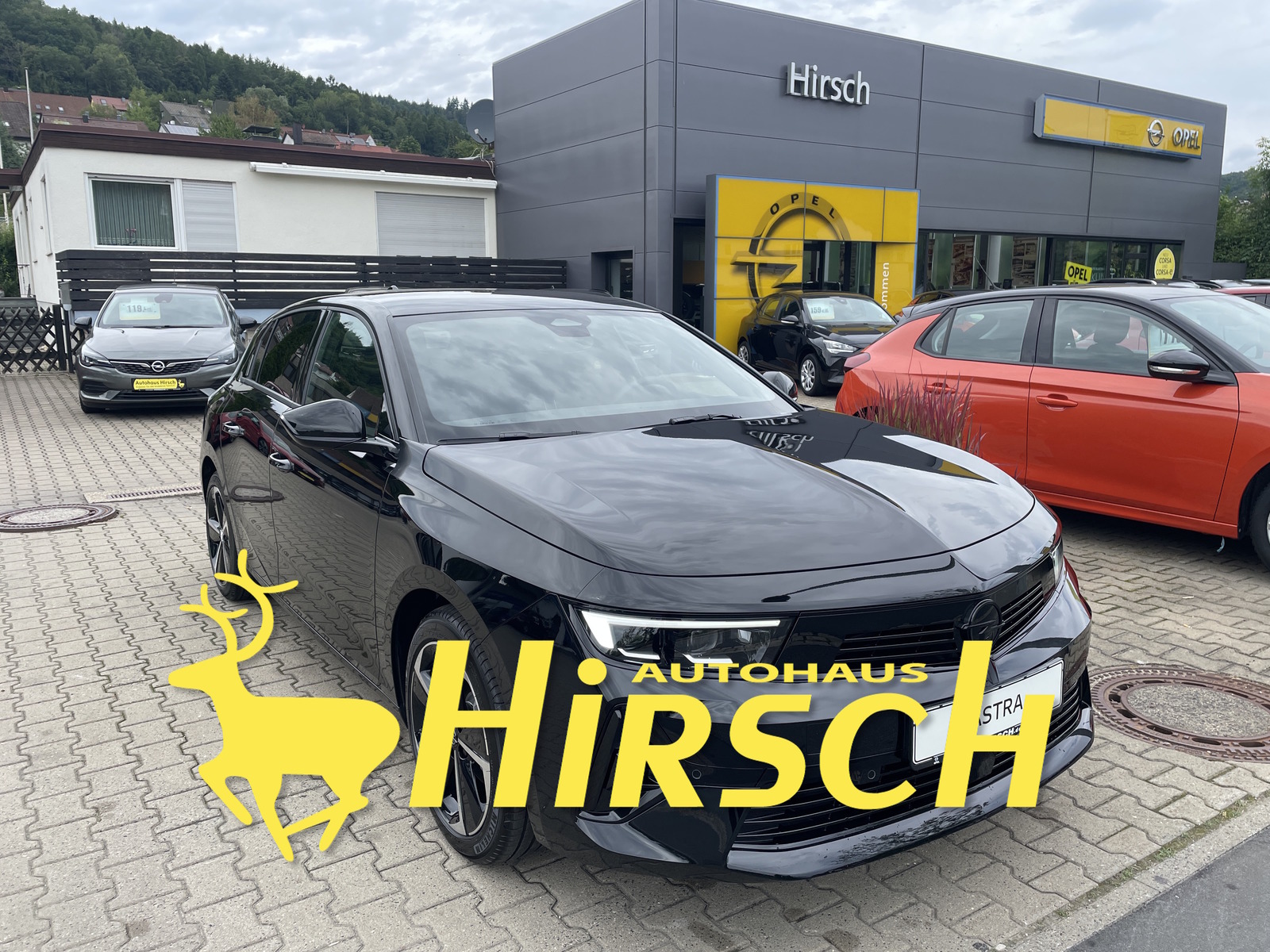 Bild des Fahrzeugs