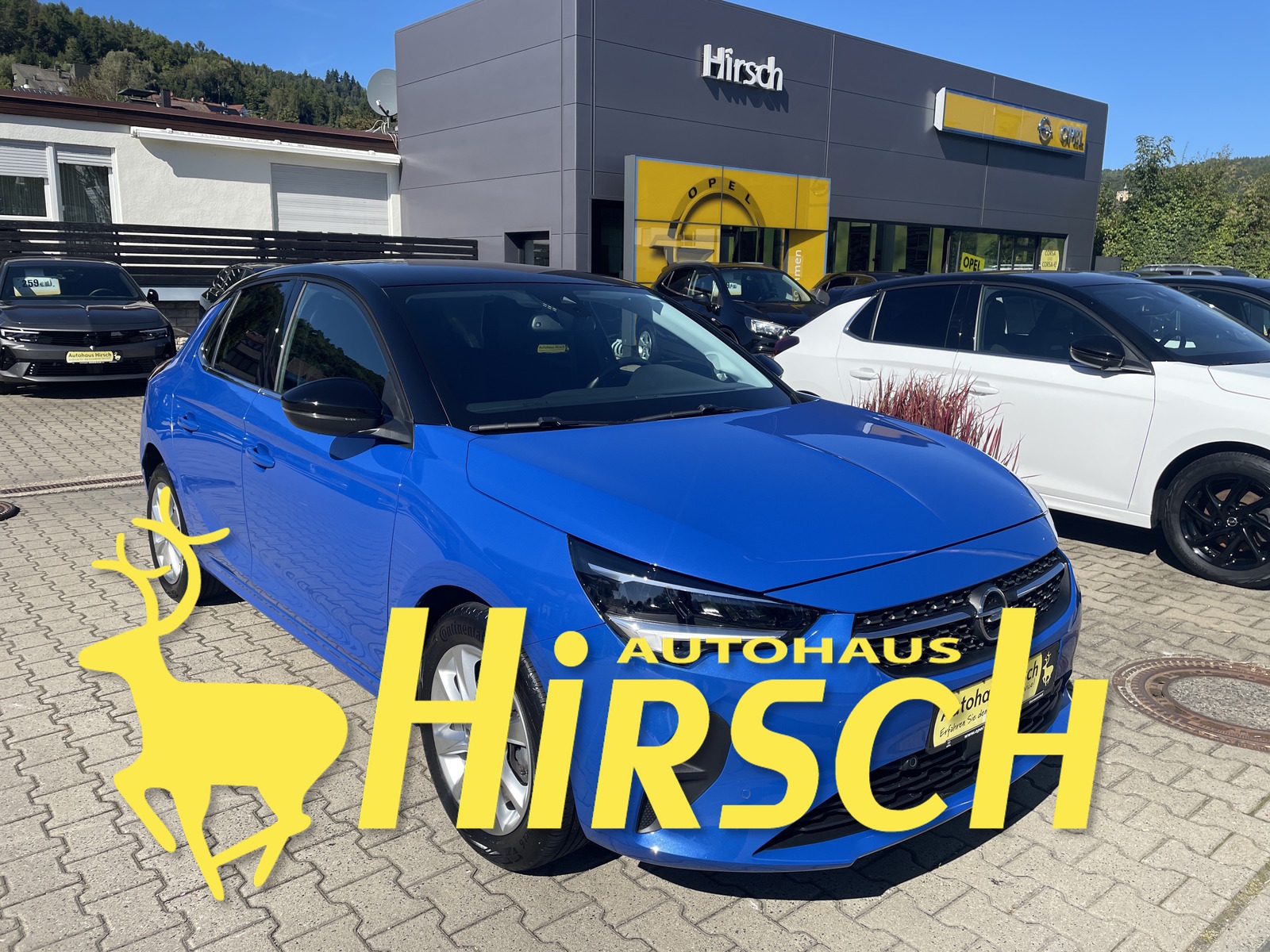 Bild des Fahrzeugs