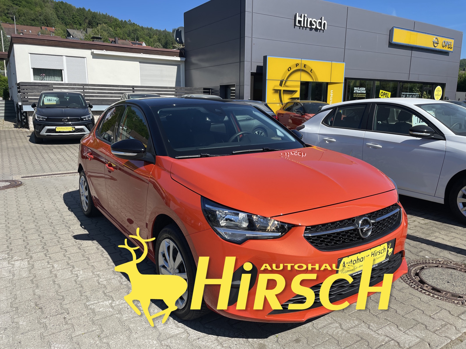 Bild des Fahrzeugs