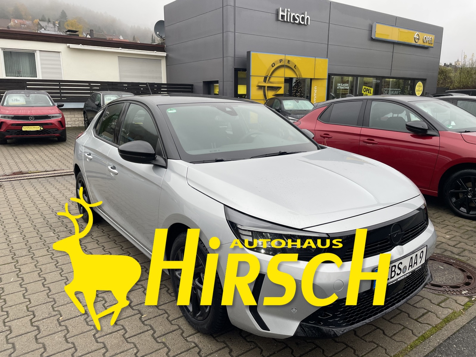 Bild des Fahrzeugs
