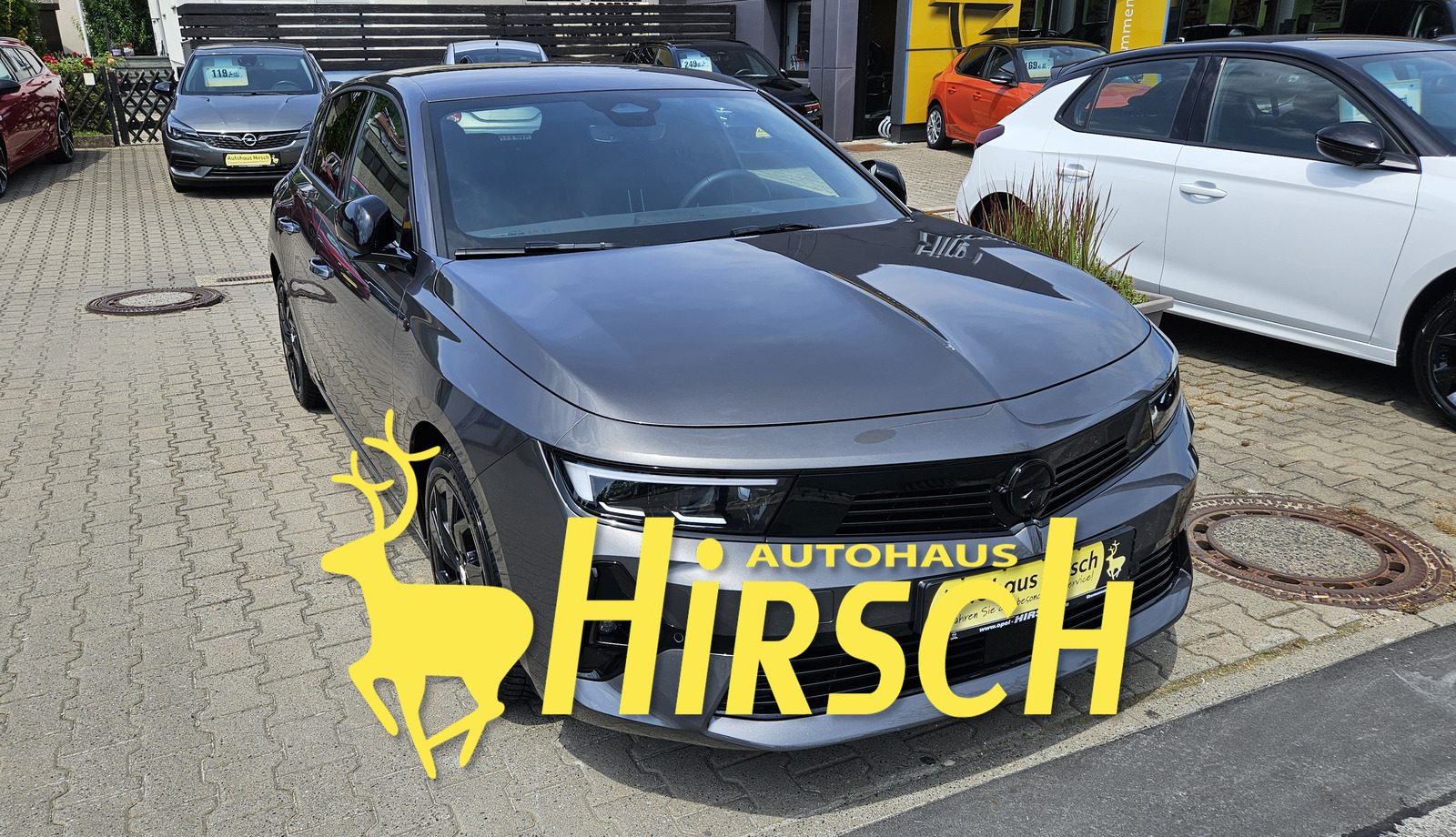Bild des Fahrzeugs