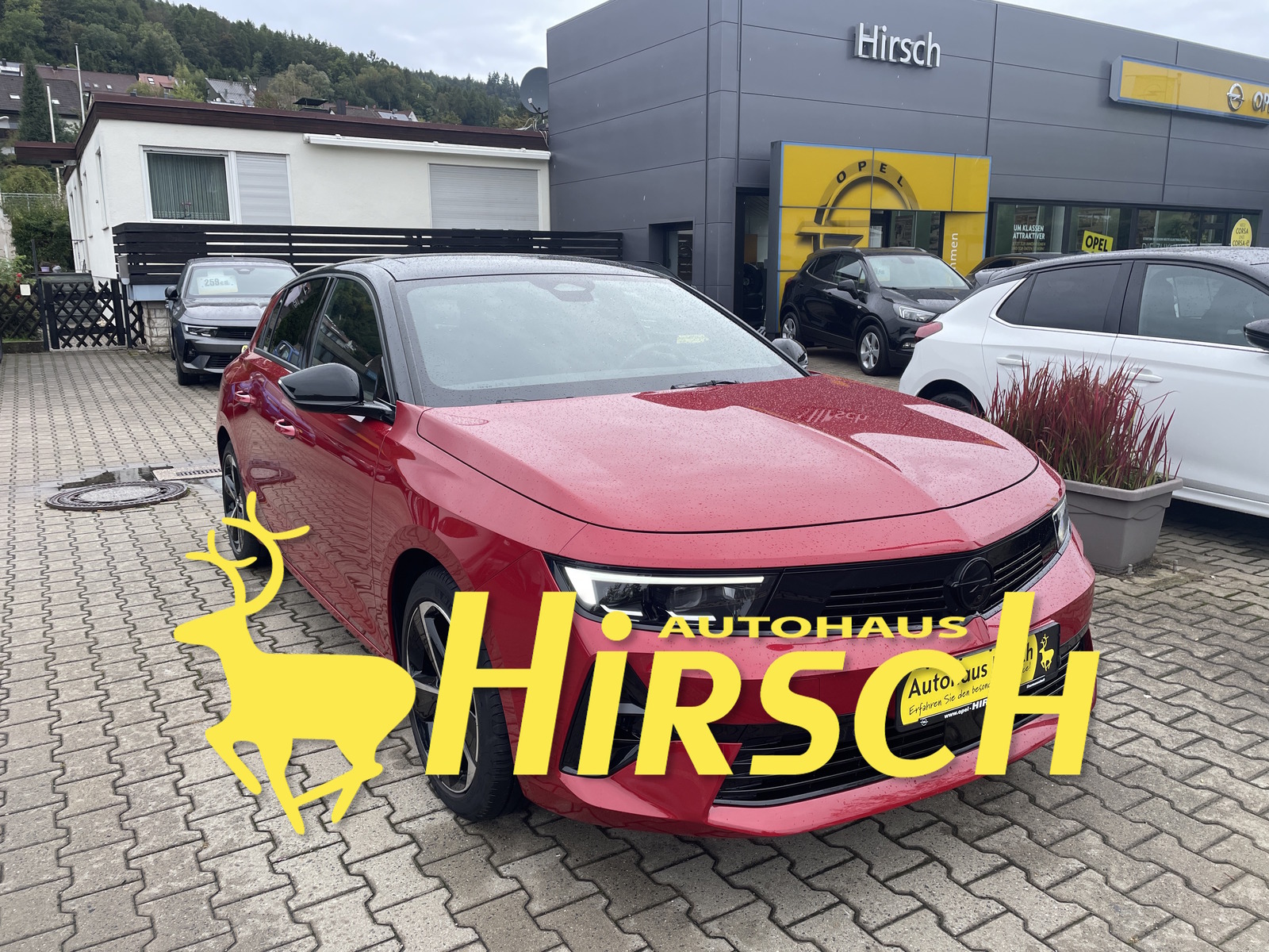 Bild des Fahrzeugs