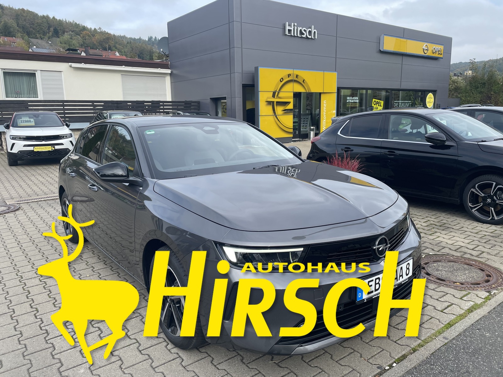 Bild des Fahrzeugs