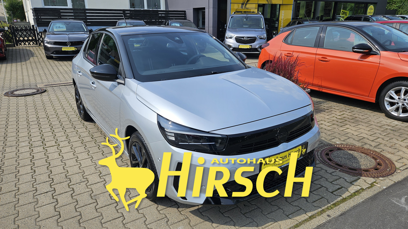 Bild des Fahrzeugs
