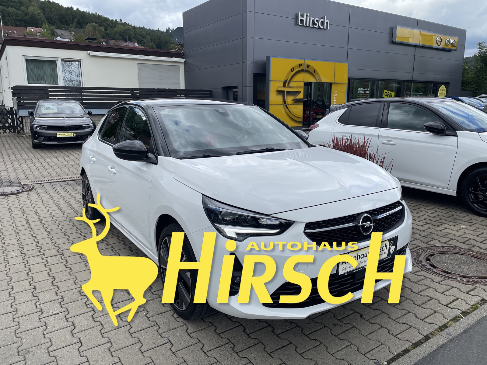 Bild des Fahrzeugs