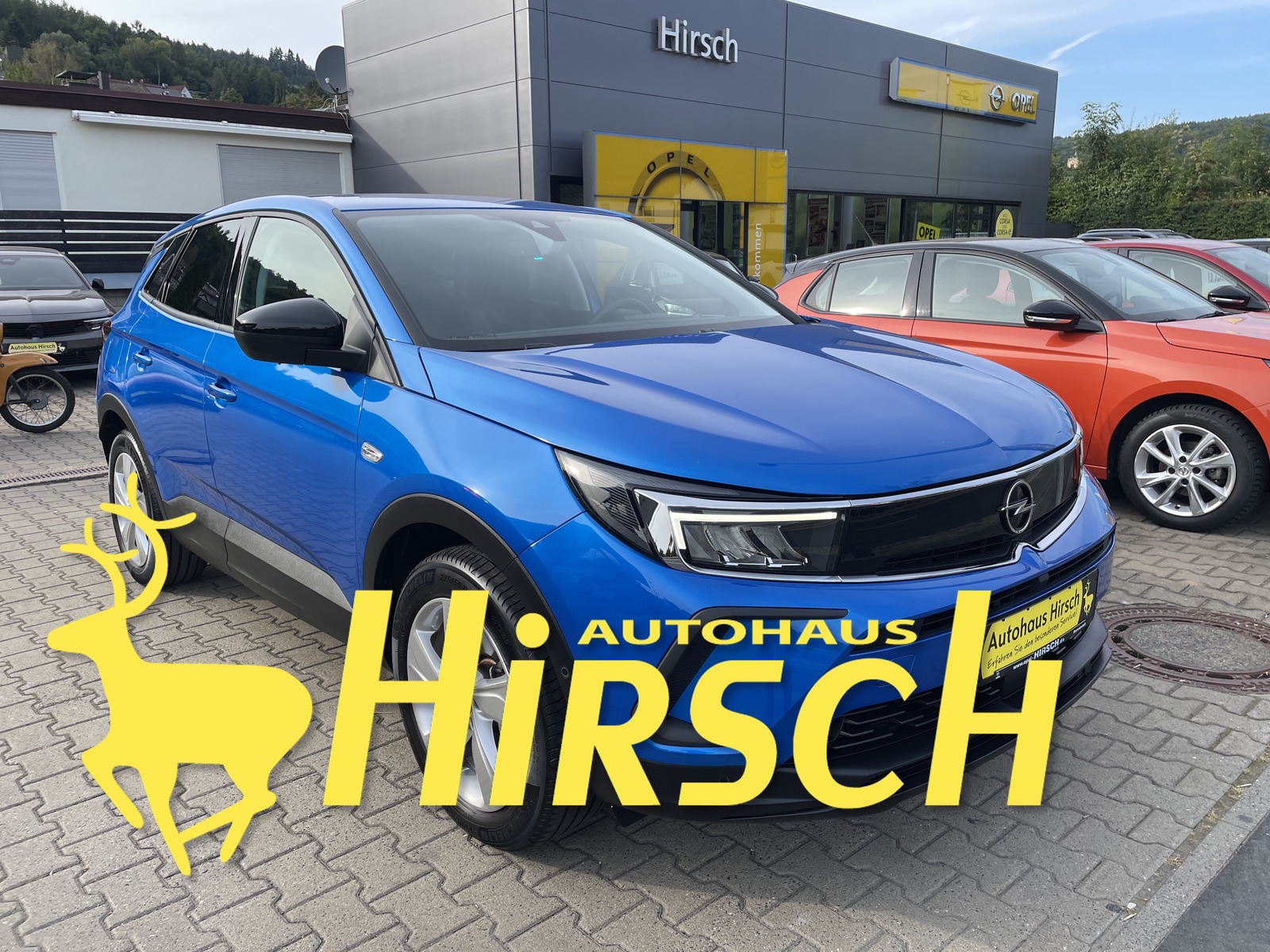Bild des Fahrzeugs