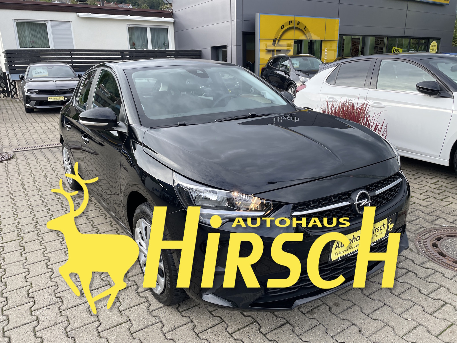 Bild des Fahrzeugs