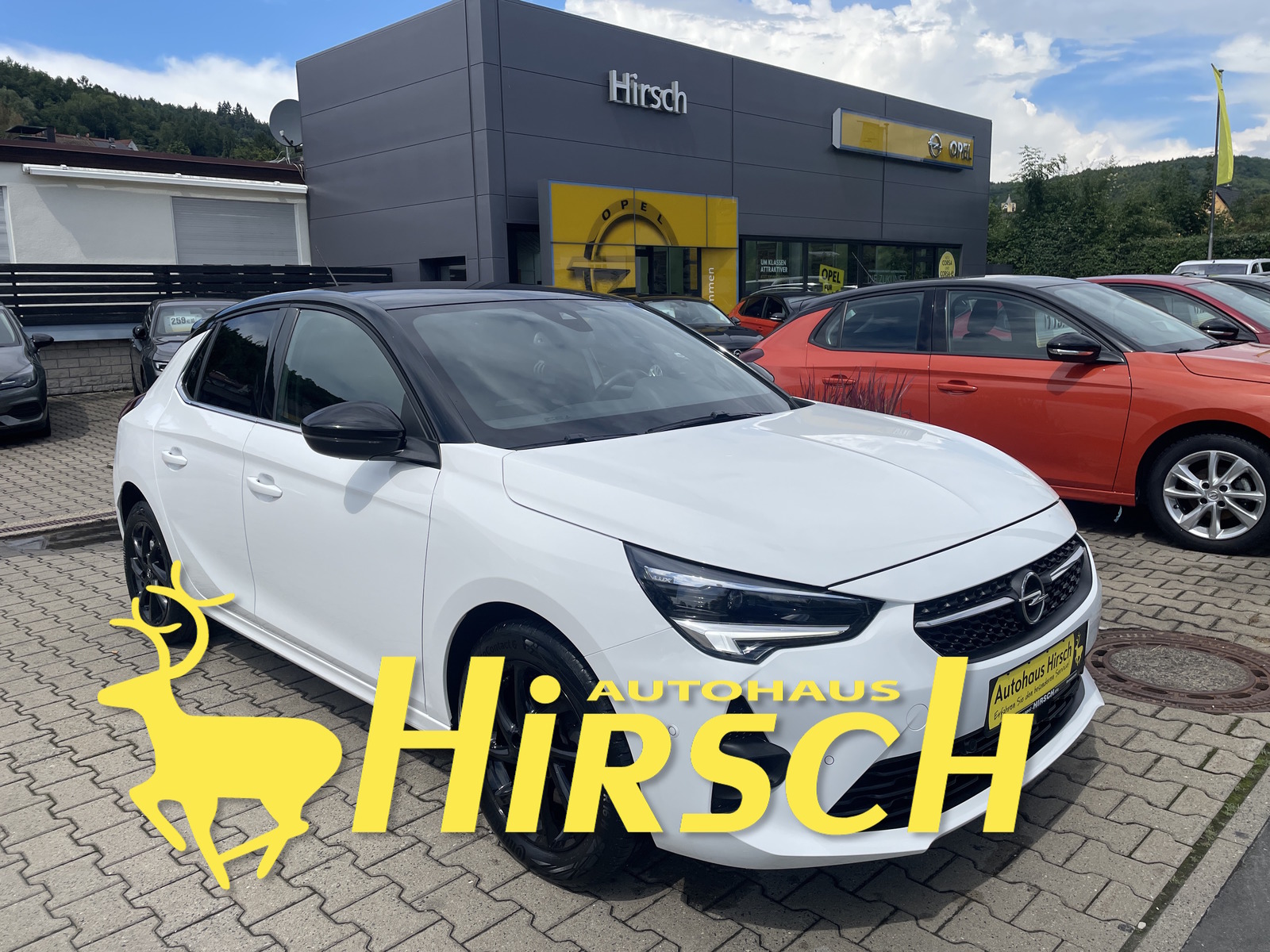 Bild des Fahrzeugs