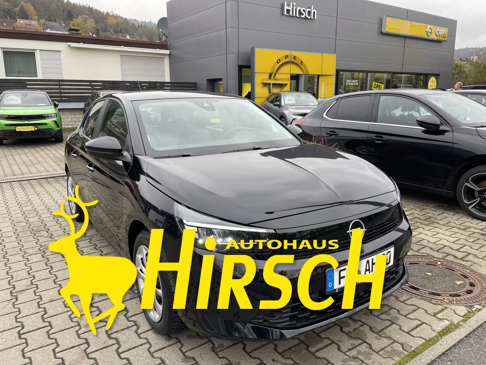 Bild des Fahrzeugs