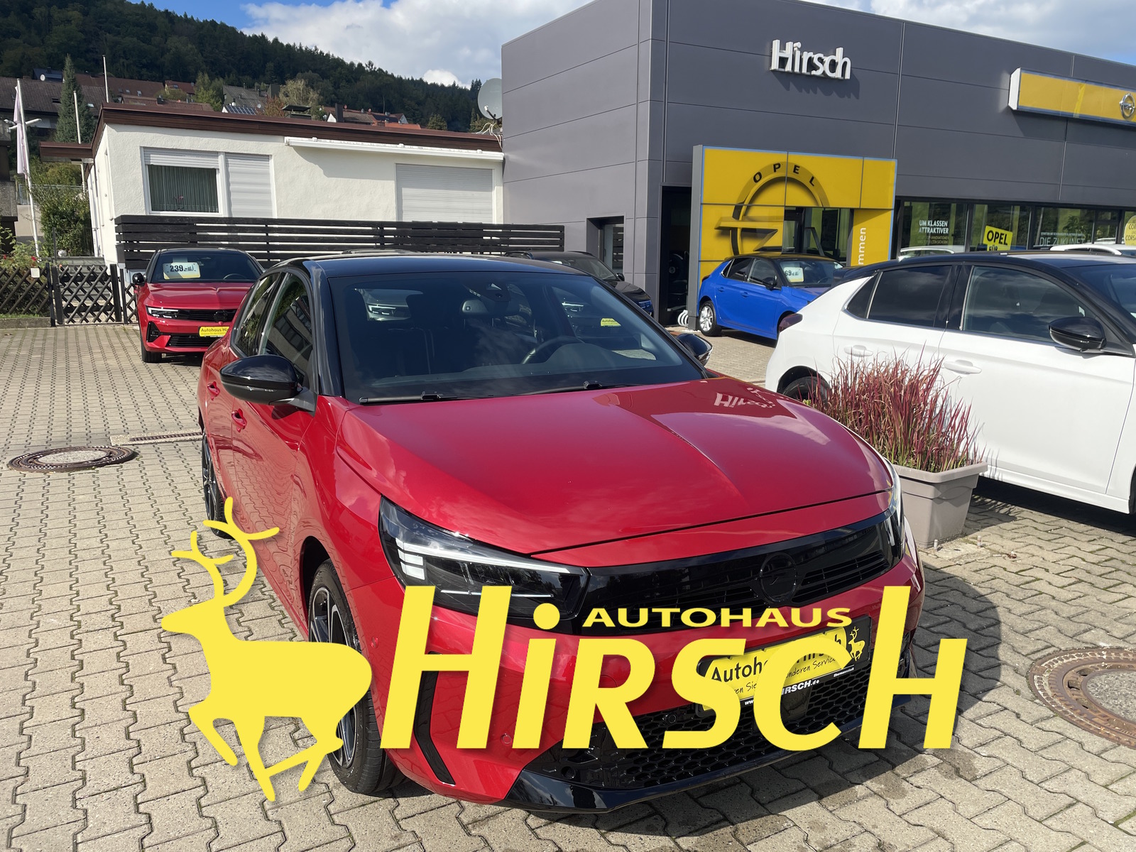 Bild des Fahrzeugs