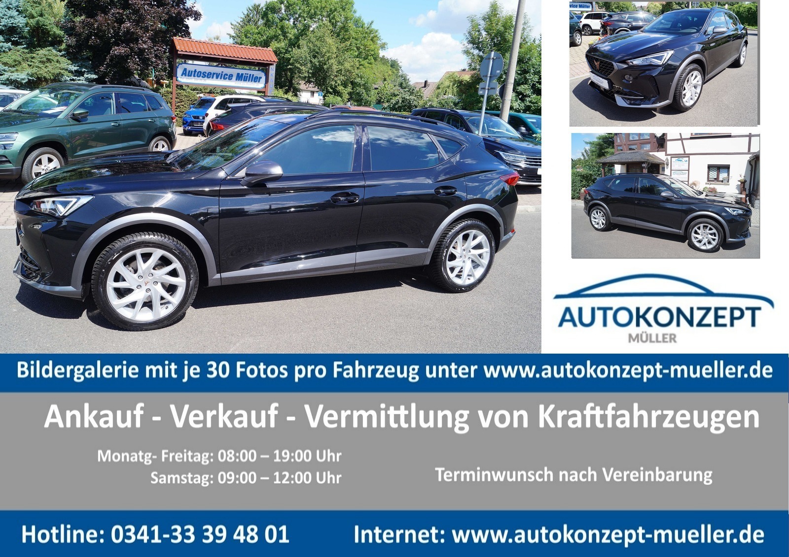 Bild des Fahrzeugs