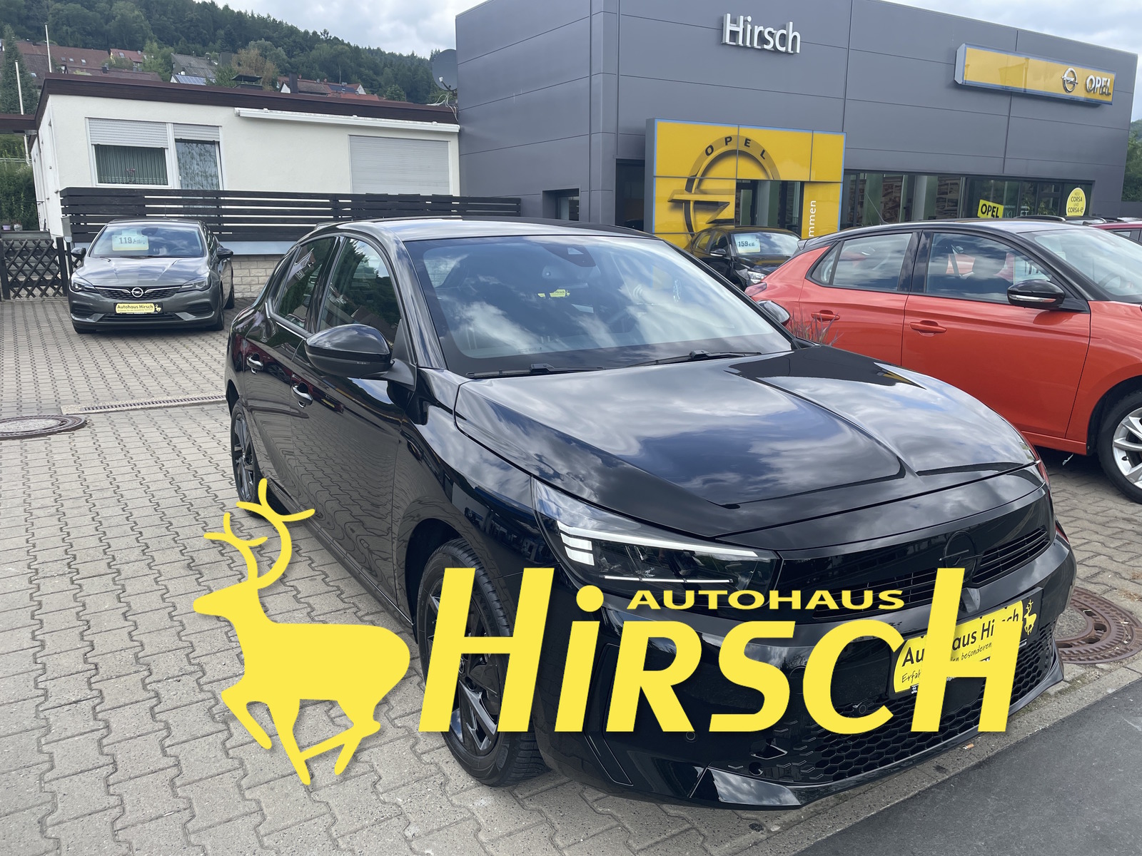Bild des Fahrzeugs