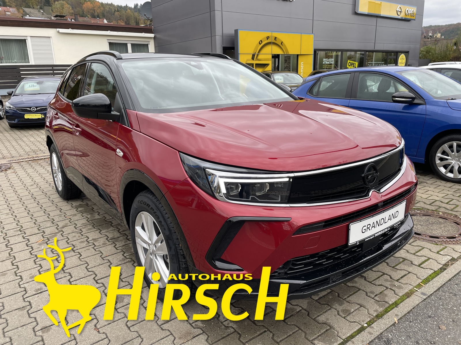 Bild des Fahrzeugs