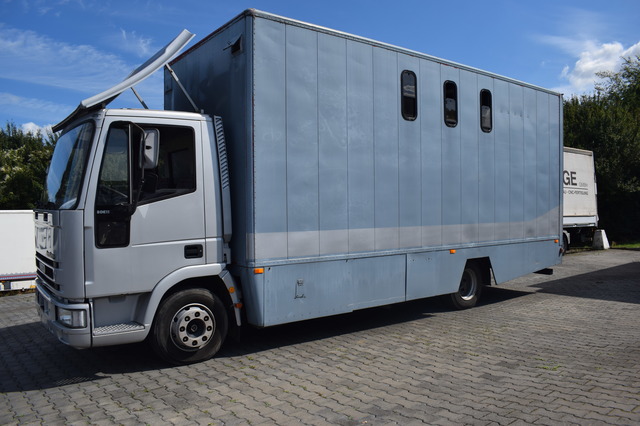 Iveco 80E15 (Bild 3)