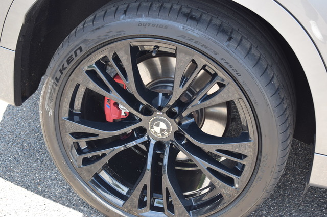BMW X6 (Bild 19)