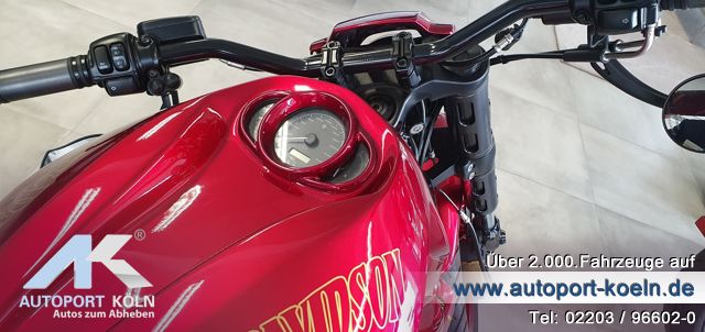 Harley Davidson V-ROD (Bild 13)